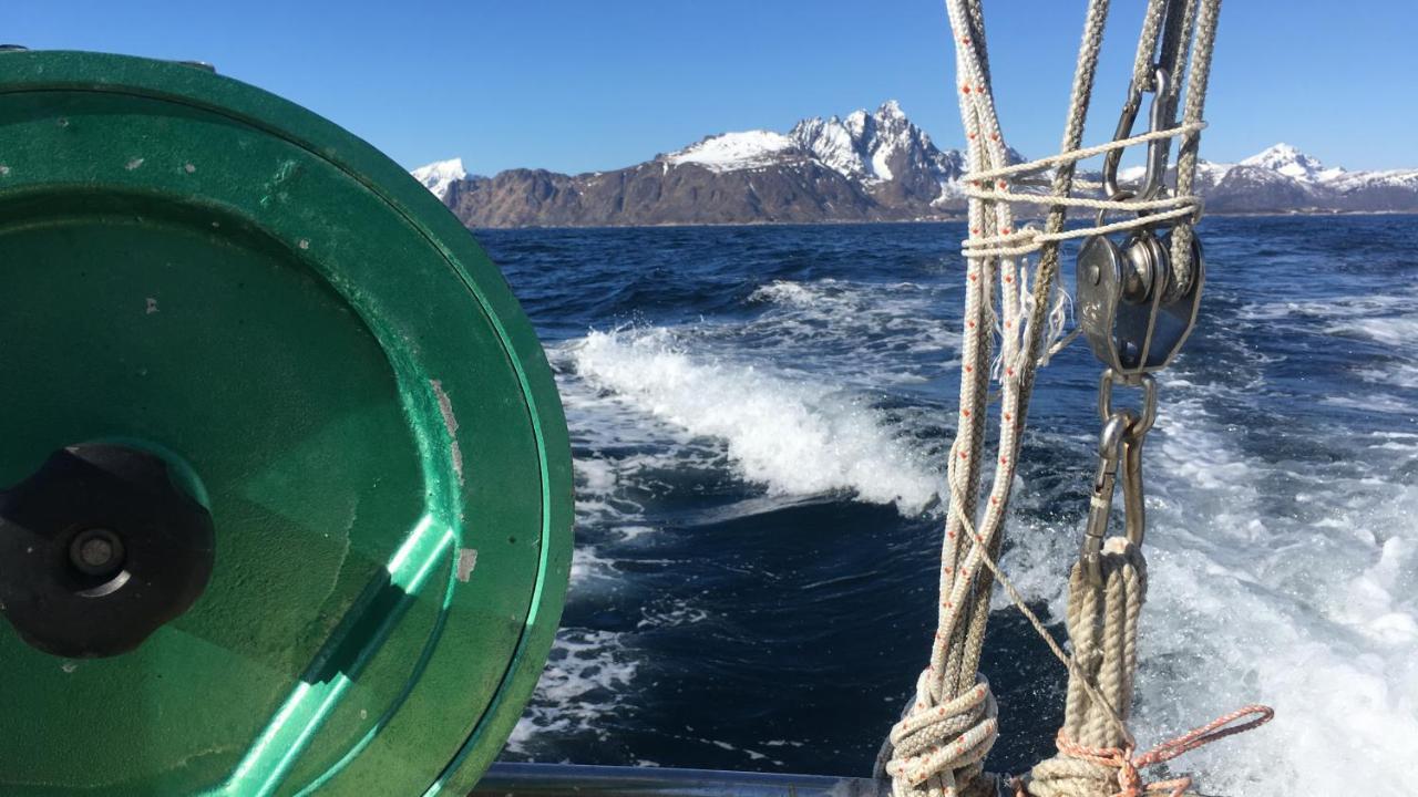 Nordlandshuset "Lottebakken", Ballstad In Lofoten Exterior foto